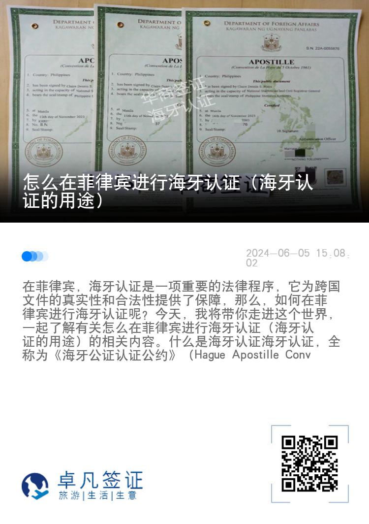 怎么在菲律宾进行海牙认证（海牙认证的用途）